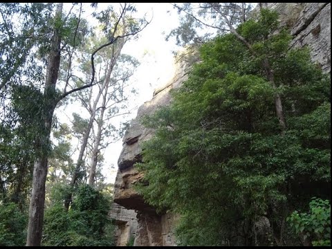 Yowie ( Bigfoot ) sighting at Yatte Yattah in 1892