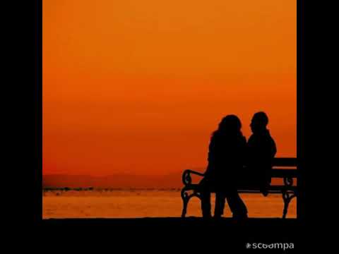 Rezan Şirvan Keçke Cane