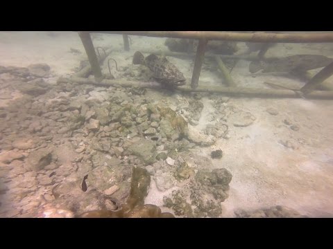 Sailing Admirer ep7 - Passage from Langkawi to Port Dickson