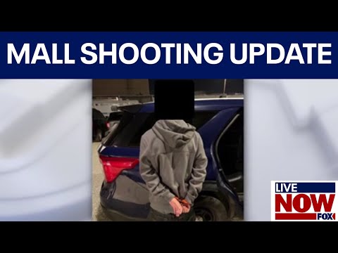 Video | Calif. DA announces charges in mall shooting