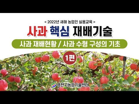 2022년 새해 농업인 실용교육(사과 재배기술 01)-사과 재배현황, 사과 수형 구성의 기초