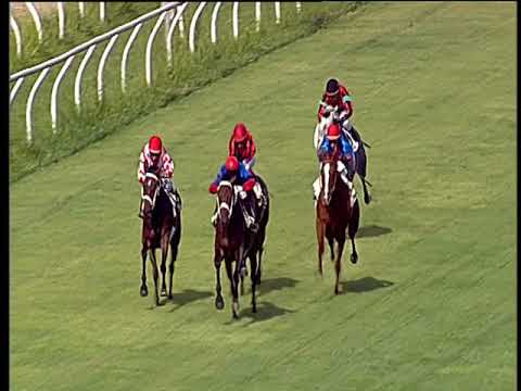 Galoppo 22/06/2018 - 2ª corsa