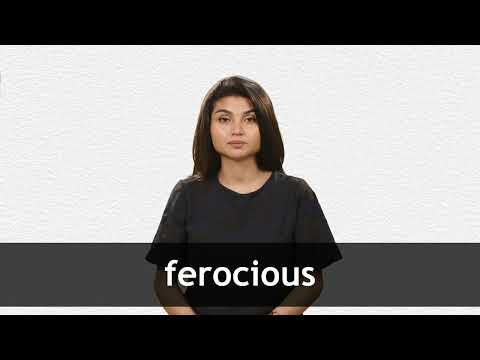 Fierce - definition and meaning with pictures