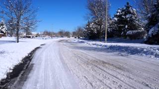 Jesse Winchester: Snow (a slide show of winter scenes from Illinois)
