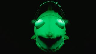 The 6 Realms | a 901 series