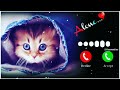 Gyurza Cat Cover Version Official Video Tiktok Trendy Music Paw Pppp Pao Pao Song Tiktok