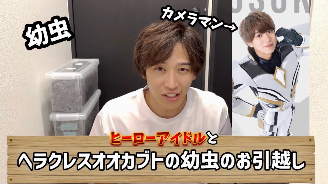 【衝撃】ヘラクレスオオカブトの幼虫がデカすぎてムリ〜🤍二度と見たくない‼️