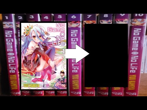 Where It Left Off: No Game No Life