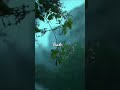 Mate Vinadhuga Nature Love WhatsApp Status