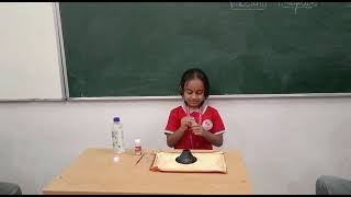 The Happy Valley School Video