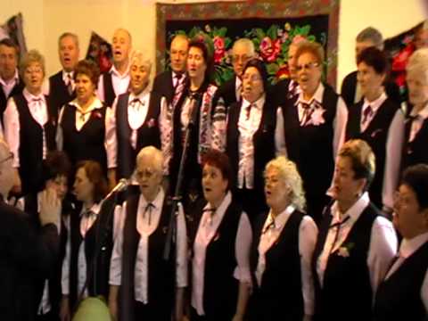 Corul mixt municipal GHEORGHE CUCU - Ia-mă de mijloc