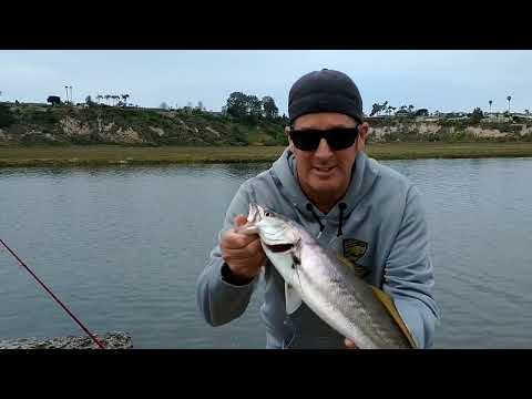 YouTube video about: Where to fish in newport harbor?