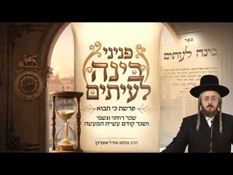 פניני בינה לעיתים - פרשת כי תבוא