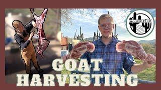 Goat Meat Harvesting In Depth | Processing and Butchering | Educational Workshop w/ Rockin