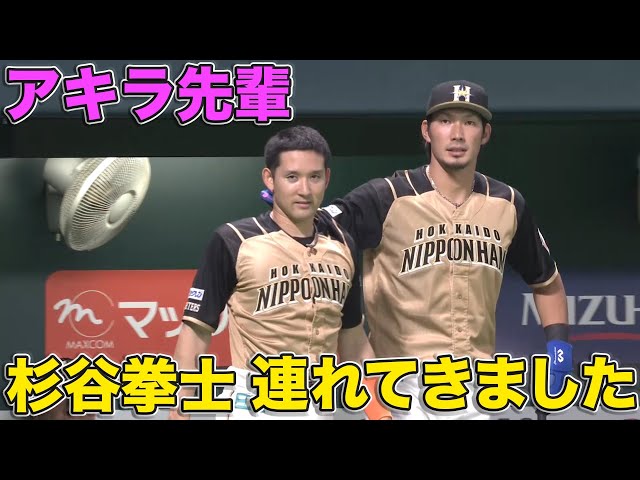 【今日の杉谷】ファイターズ・杉谷拳士『晃パイセンを最高の笑顔』にする