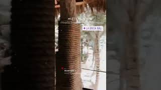 Download lagu Ghisela Kell Liburan di Bali #ghisel #model #popular mp3 Download lagu Ghisela Kell Liburan di Bali #ghisel #model #popular mp3