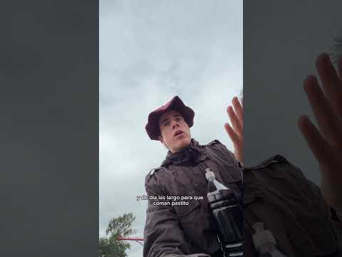 No sé quién miércoles fue 🫠