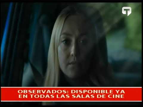 Observados: Disponible ya en todas las salas de cine