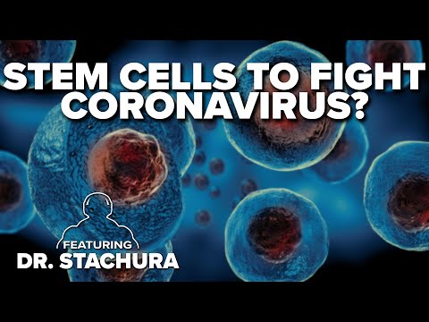 Mark Bell's Power Project EP. 373 - Stem Cells vs The Virus ft. Prof. Stachura