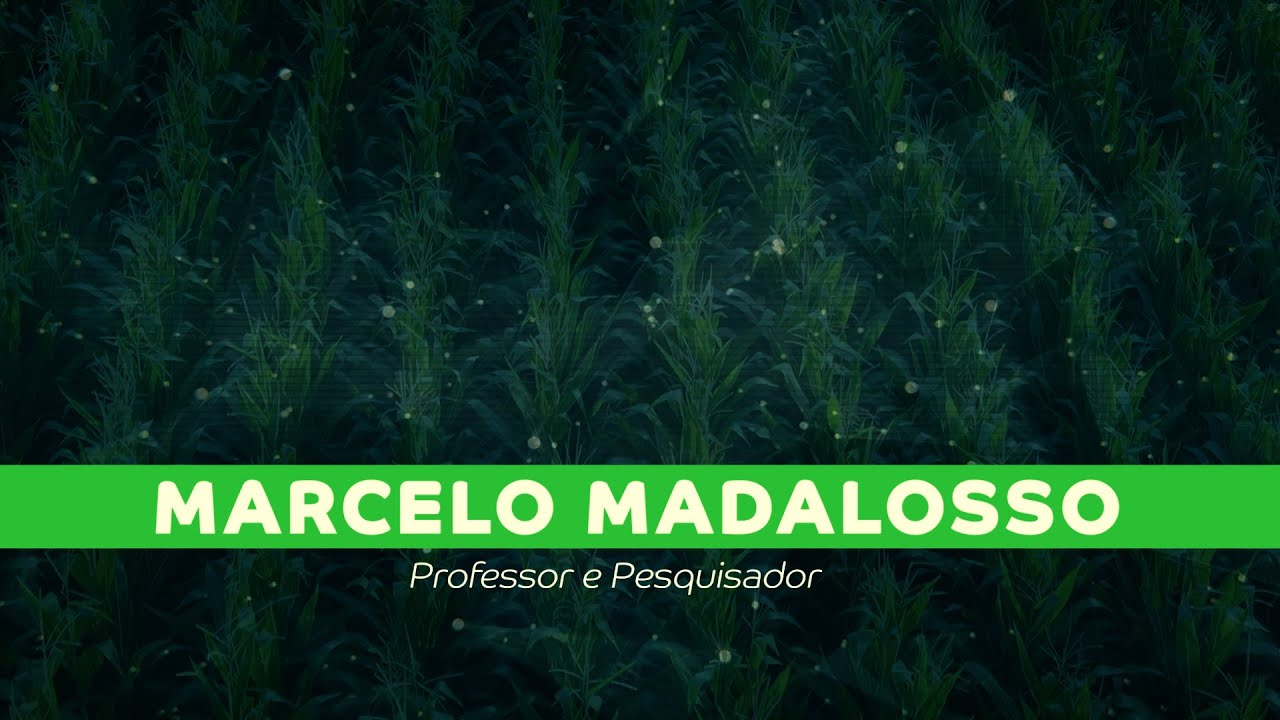 Palestra - Marcelo Madalosso - Manejo de doenças na cultura do milho