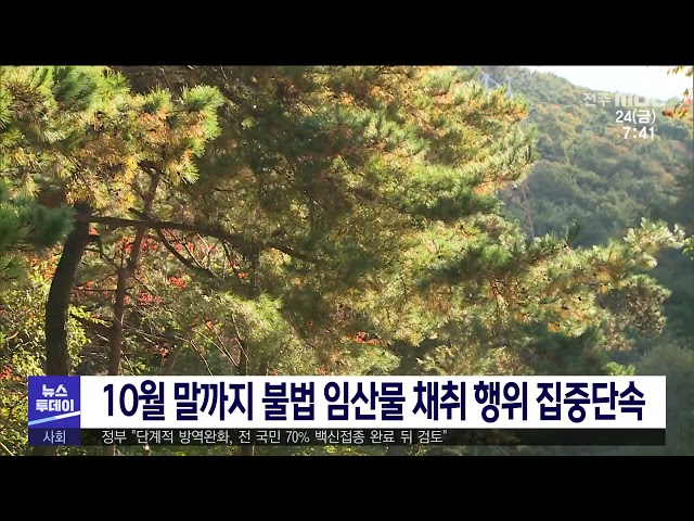 10월 말까지 불법 임산물 채취 행위 집중단속