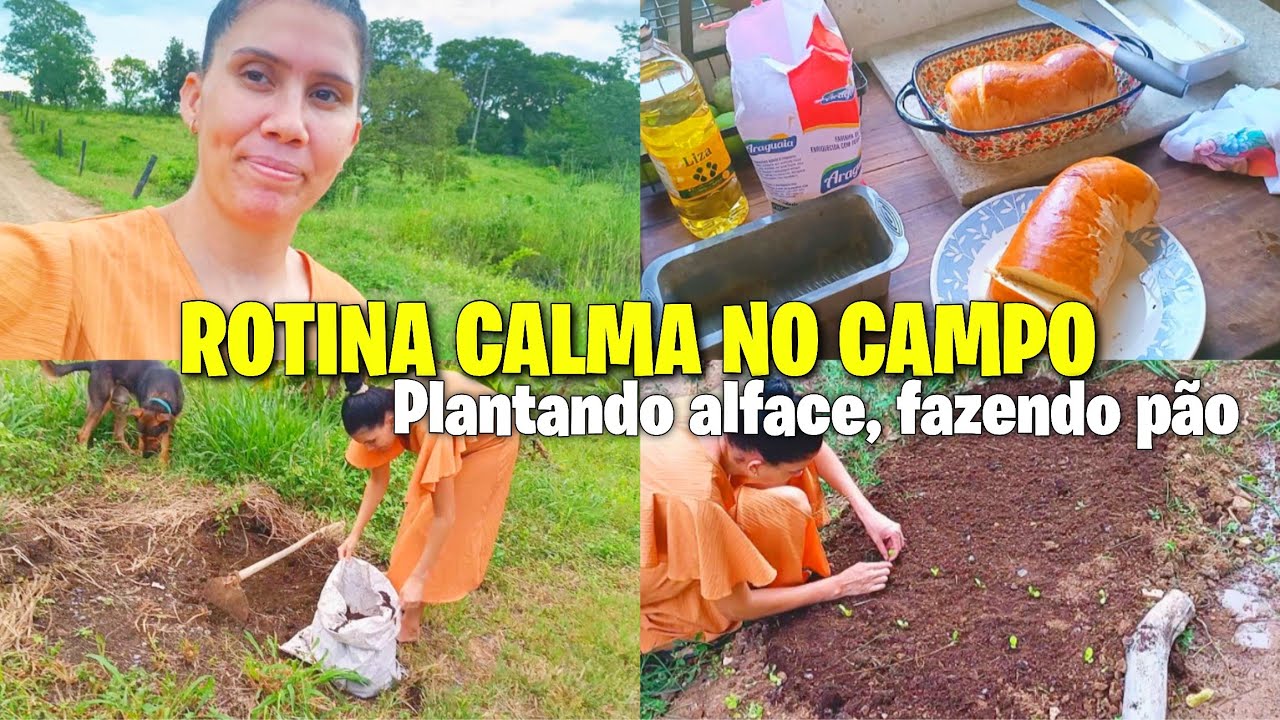 CALM ROUTINE IN THE COUNTRYSIDE/ making homemade bread/ planting lettuce/ vlog