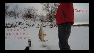 Рыбалка на тавде 2019 зимой