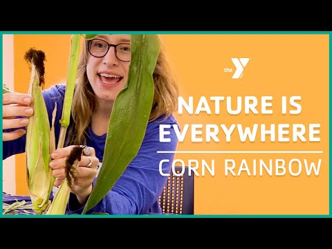 Nature is Everywhere with Reesha: Corn Rainbow - Classrooms for All