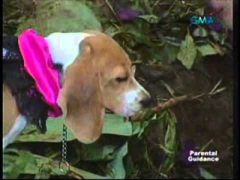 download lagu mp3 mp4 Bna2, download lagu Bna2 gratis, unduh video klip Download Bna2 Mp3 dan Mp4 Music Gratis