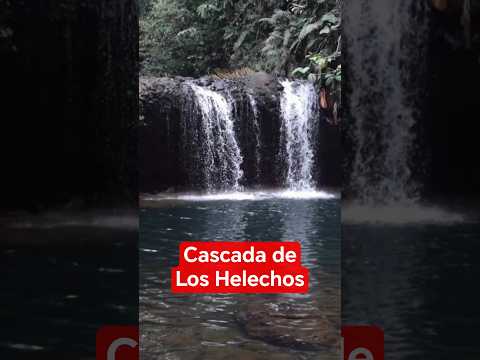Cascada De Los Helechos en Pedro Vicente Maldonado.