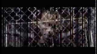 Chris Brown - Can't Say No (Music Video)