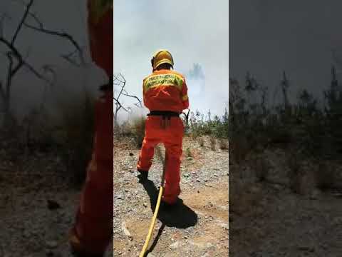 Incendio a Capo d'Arco, isola d'Elba