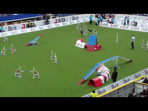 AWC 2017 SAY 1st place Tereza Kralova Agility Large Individual, Liberec