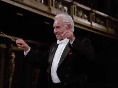 Beethoven - String Quartet No. 16 in F Major, Op. 135 - Leonard Bernstein, Vienna Philharmonic