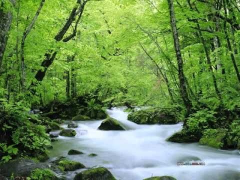 Ansambel Slovenija - Moj fant je muzikant