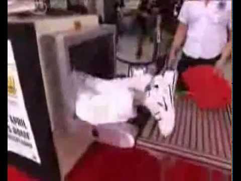 Izzy(US5) 'Kinder haben'