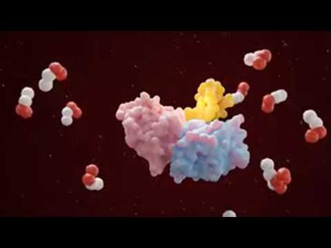 UVM finds new drug to fight lung cancer could be a game ...