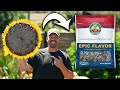 I Grew My Own Sunflower Seeds