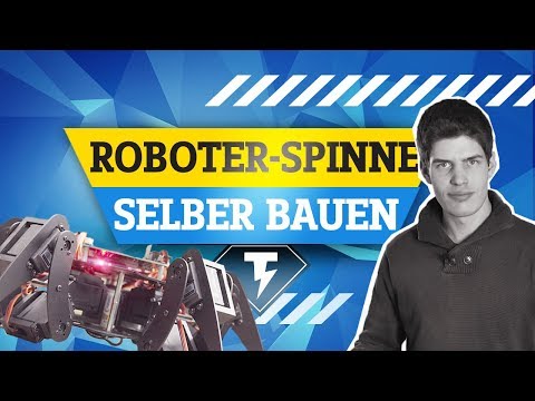 Robo-Spinne aus dem Baukasten | Conrad TechnikHelden