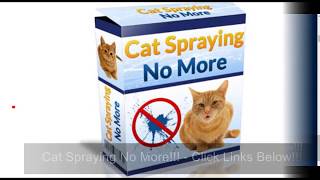 How to Stop Your Cat from Peeing on Clothes!!! – Cat Spraying No More Available!!!