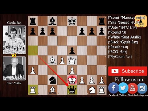 A perfect game of Two Rooks sacrifice | Suat Atalik vs G Sax (1997)