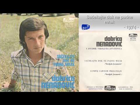 Dobrica Nenadovic - Sacekajte dok ne padne mrak - (Audio 1974)