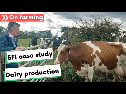 How SFI works with dairy production