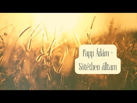 Papp Ádám - Sötétben álltam