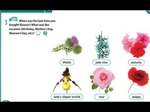 Excel grade 8 module 6 Natural World p63