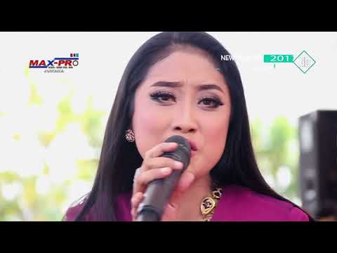 CINCIN KEPALSUAN -  ANISA RAHMA  New Pallapa "BANJARSARI BERSATU"