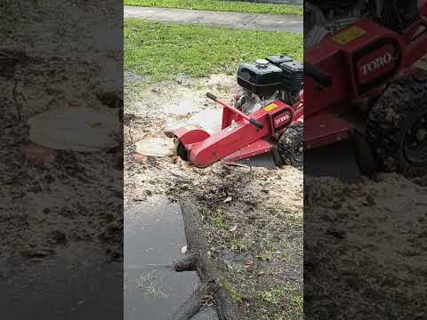 SGR13 Stump Grinder, 1st use with Home Depot rental, took ~2.25 hour