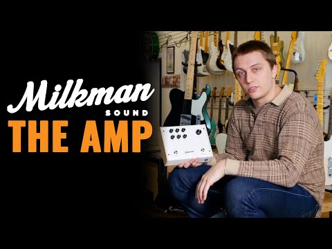 Milkman The Amp 50-Watt Pedalboard Guitar Amp 2010s - White image 10