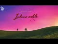 Anzo Indawo Enhle Feat Sastii Official Audio