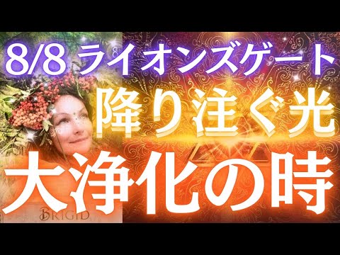 あなたの庭にゴールドフィンチを呼び込むにはどうすればよいですか？ 5つの良いアイデア  庭園